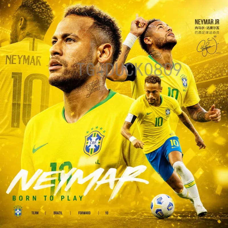 FIFA世界杯名单查询系统：一站式掌握国家队阵容与赛程动态